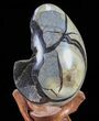Septarian Dragon Egg Geode - Black Crystals #72062-3